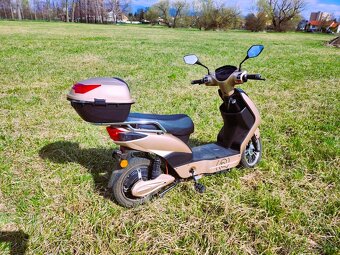 🛵Prodám Elektroskútr RACCEWAY® E-FICHTL® – světle zlatý mat - 2