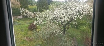 Prodám domeček s možností velkého rozšíření. - 2