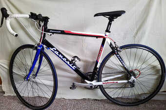 Favorit Carbon - 2