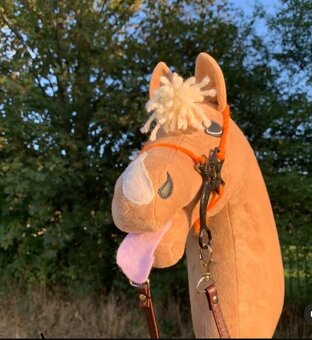 HOBBY HORSE - 2