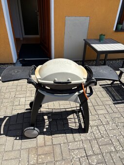 Gril Weber - 2