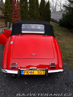 Healey Abbott - 2