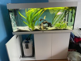 AKVARIJNÍ SET JUWEL RIO 240 - KOMPLETNÍ S EXTERNÍM FILTREM - 2
