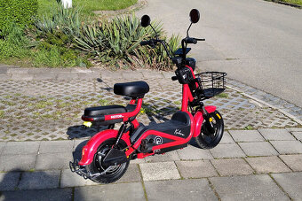 Racceway Kobra - 2