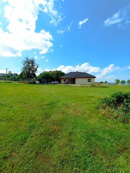 Mini psí hotel a psí školka. - 2