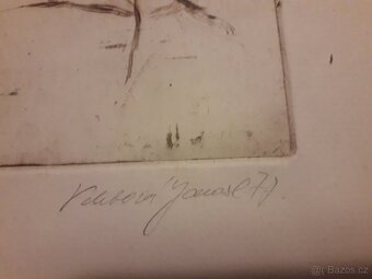 Prodám grafiku Lázníčková-Velebová hezký dárek - 2