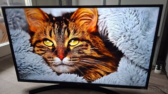 Smar Televize LG 4K Ultra HD 109cm - 2