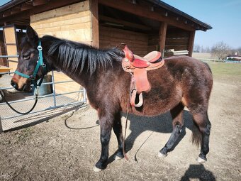 Westernové pony sedlo - 2