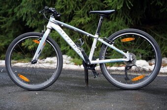 Kolo Author Ultrasonic vel. 24 - 2