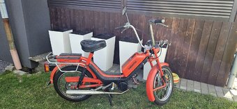 Babetta 210 - TOP - dellorto - 2