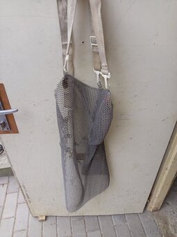 Dratena zastera - 2