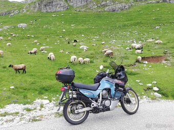 Honda XL600V Transalp 1992 – poctivý parťák po renovaci - 2