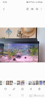 Akvarium s krytem - 2