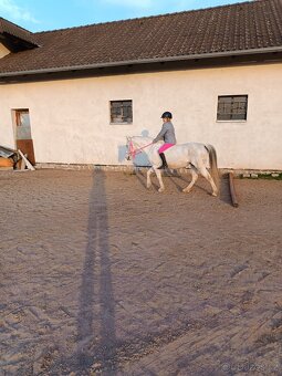 Pony - 2