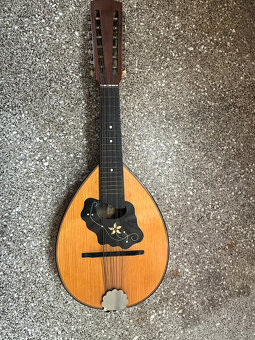Mandolína rok 1969 - 2