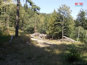 Chata Pstruzi (Celadna) + pozemek 4000m2 - 2