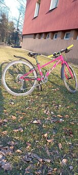 SUPERIOR SUP FLY 24 - 2