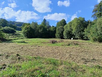 Prodej stavebního pozemku Valštejn (Město Albrechtice). - 2