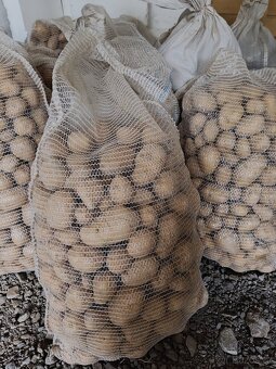 Beambory na uskladnění 10,- Kč/kg - 2