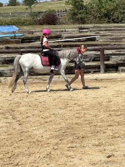 Pony S na prodej - 2