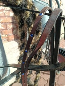 Westernová uzdečka - 2