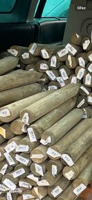 Kulatá dřevěná palisáda impregnovaná - 2