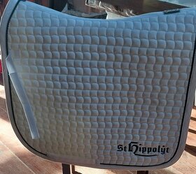 Bílá DR podsedlovka - 2