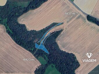 Pole 5 943 m², Podíl 50 % o výměře 2 972 m² - 2