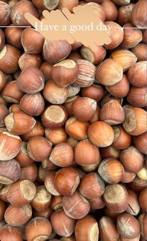 Lískové ořechy neloupané, lískáče , ořechy - 2