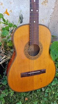 kytara Cremona 494 - 2