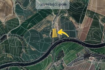 Prodej pole v k.ú. Živanice - 2