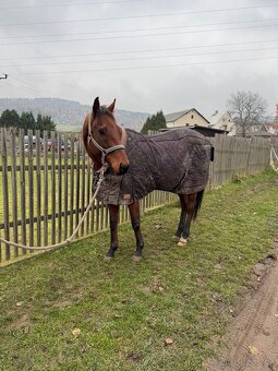 Valášek A1/1 na prodej - 2