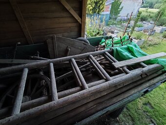 Žebřiňák - 2