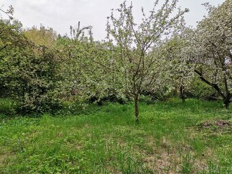 Prodej zahrady Obřany - Maloměřice - 2