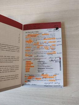 Vražda pod lipami / Mord unter den Linden – dvojjazyčná - 2