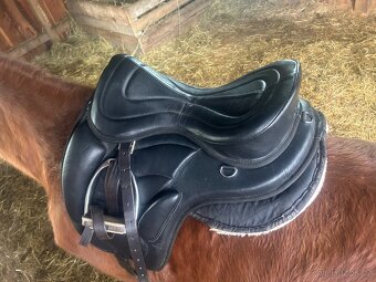 Bezkostrové sedlo - 2
