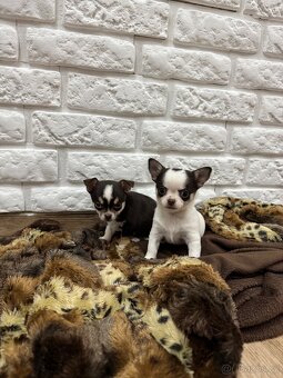 Miničivava-rezervace - 2