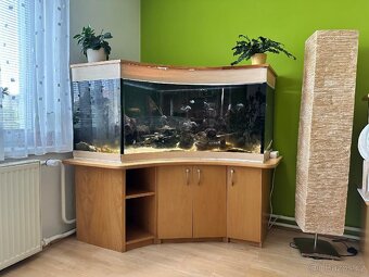 Zachovalé akvárium i s rybami - 2