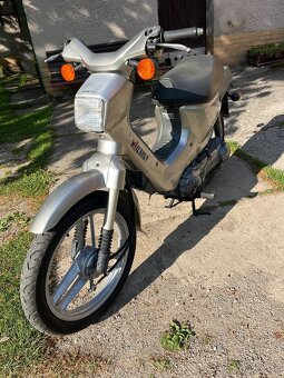 Honda Wallaroo - 2