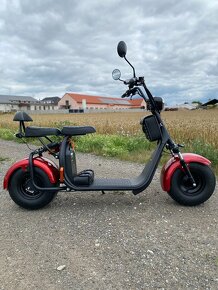 Elektrokoloběžka Lera Scooters C1 1000W + brašny - 2