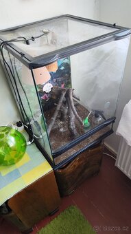 Terárium pro chameleona - 2