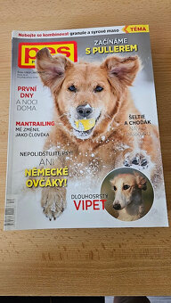 Člověk a pes 2022 a 2023 - 2