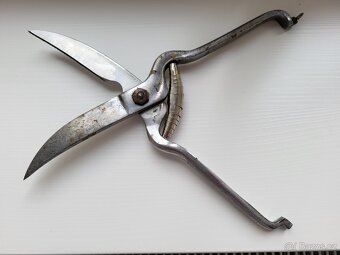 Retro nůžky na drůbež. - 2