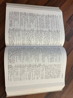 Česko-polský slovník - 2