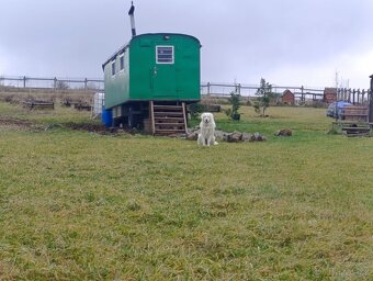 Maringotka na predaj - 2