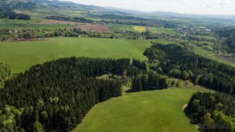 Prodej lesa 20336 m² – Heřmánkovice - 2