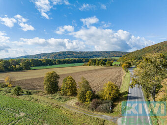 Prodej, komerční pozemek, 21944 m2, dálnice D1, Mankovice - 2