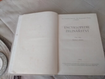 Encyklopedie zelinářství - rychlení zeleniny - 2