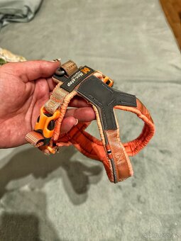 Postroj a vodítko Nonstop - 2