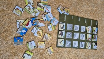 Pexetrio Dinosauri - 2